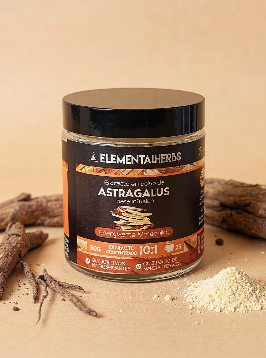 Astragalus Extract 10:1