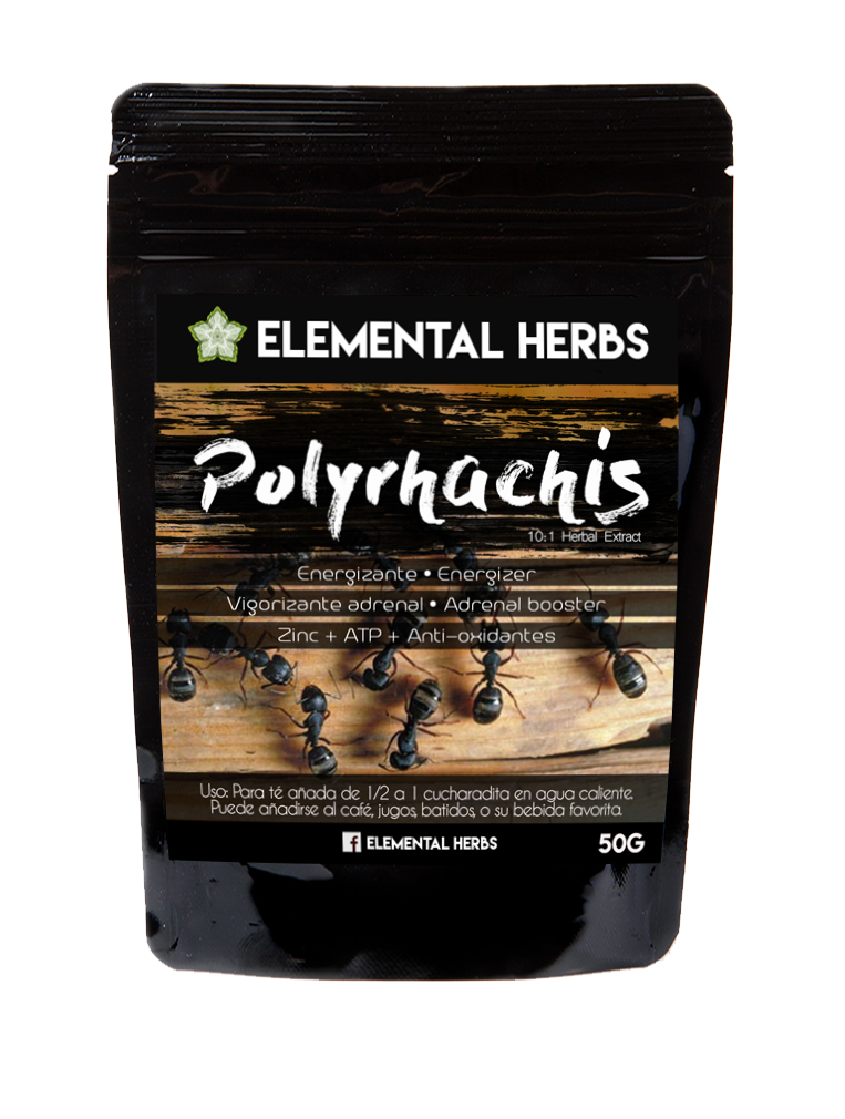 Polyrhachis Black Ant 10:1 Extract
