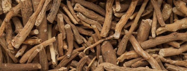 🌿 La Historia de la Ashwagandha