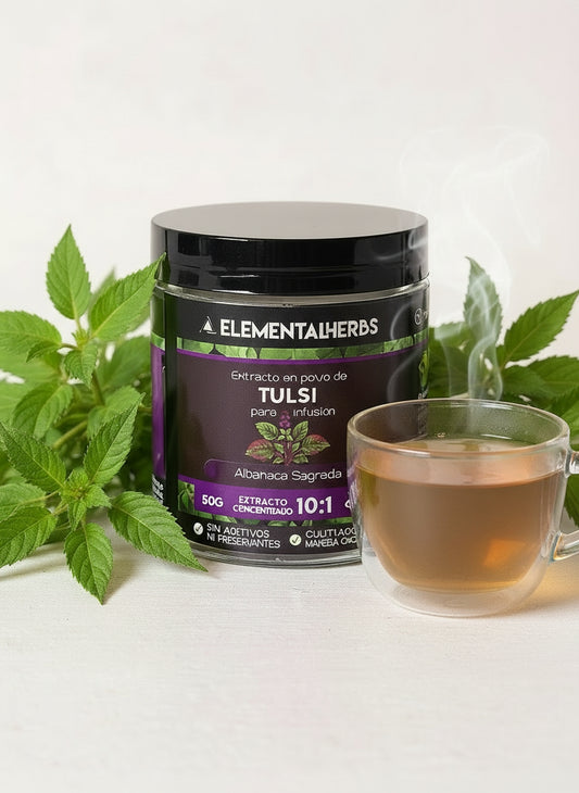 Holy Basil (Tulsi) 10:1 Extract