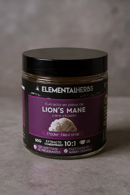 Lion's Mane extracto en polvo
