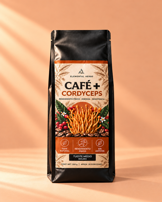 Café + Cordyceps