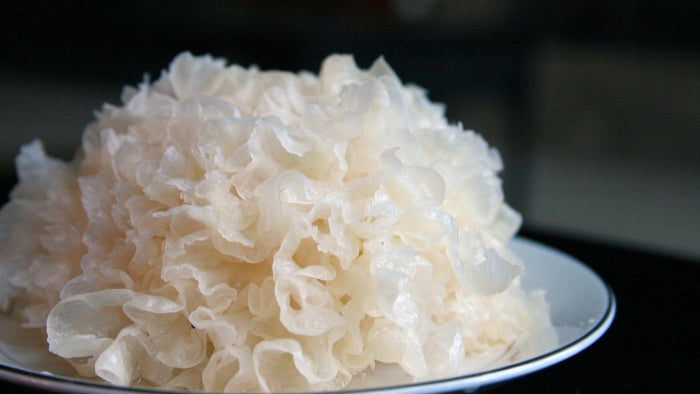Tremella Extract 10:1