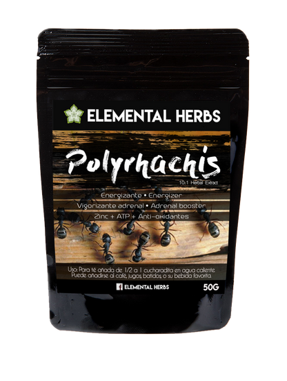 Polyrhachis Black Ant 10:1 Extract