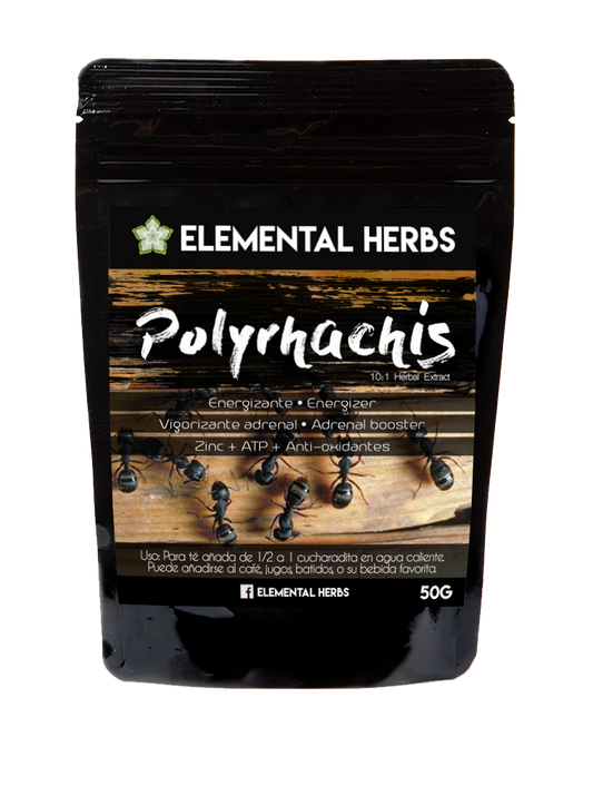Polyrhachis Black Ant 10:1 Extract