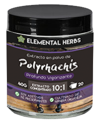 Polyrhachis Black Ant 10:1 Extract
